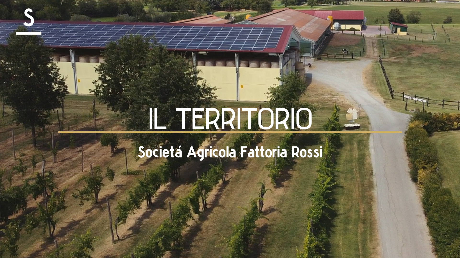 Scaglie presenta: Società Agricola Fattoria Rossi
