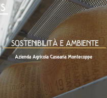 Scaglie presenta: Azienda Agricola Casearia Montecoppe