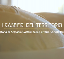 Scaglie presenta: la storia di Stefania Cattani