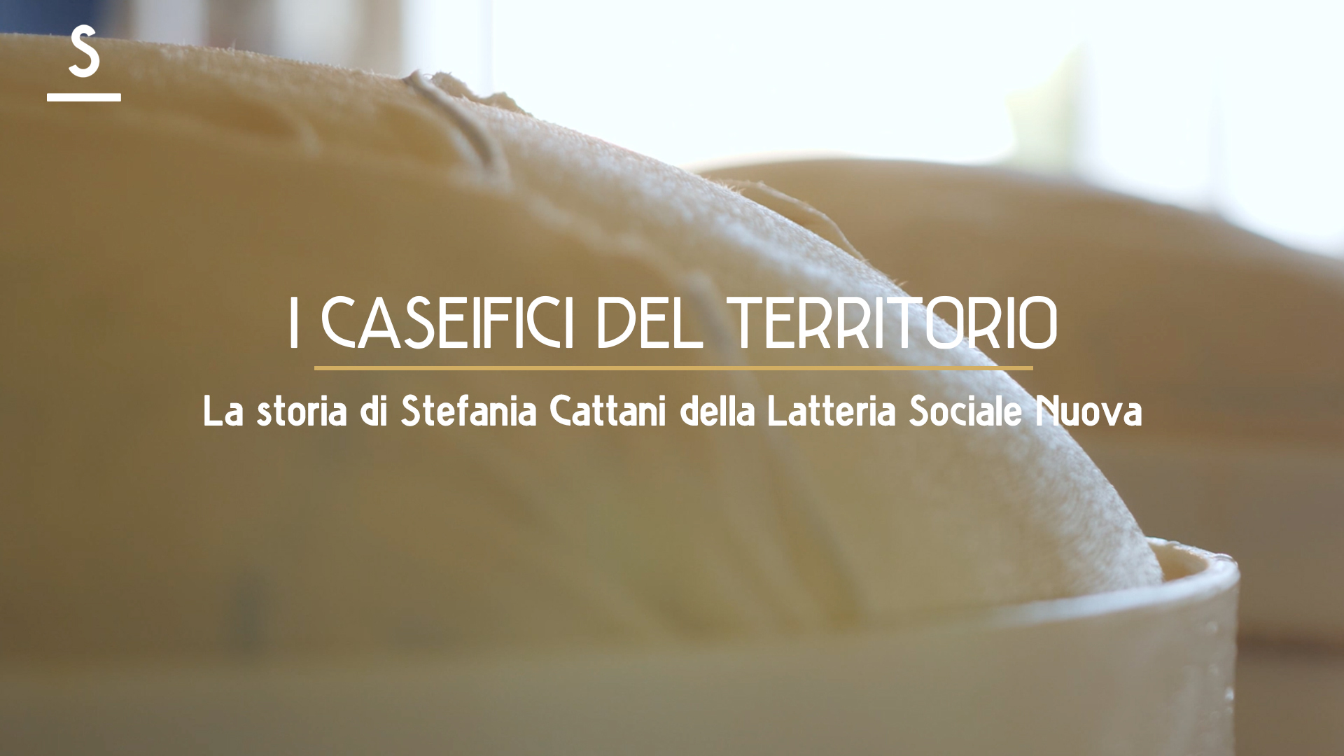 Scaglie presenta: la storia di Stefania Cattani