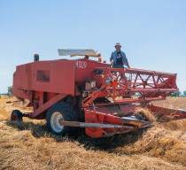 A Correggio gli “Agricoltori Custodi” fanno rivivere i semi antichi