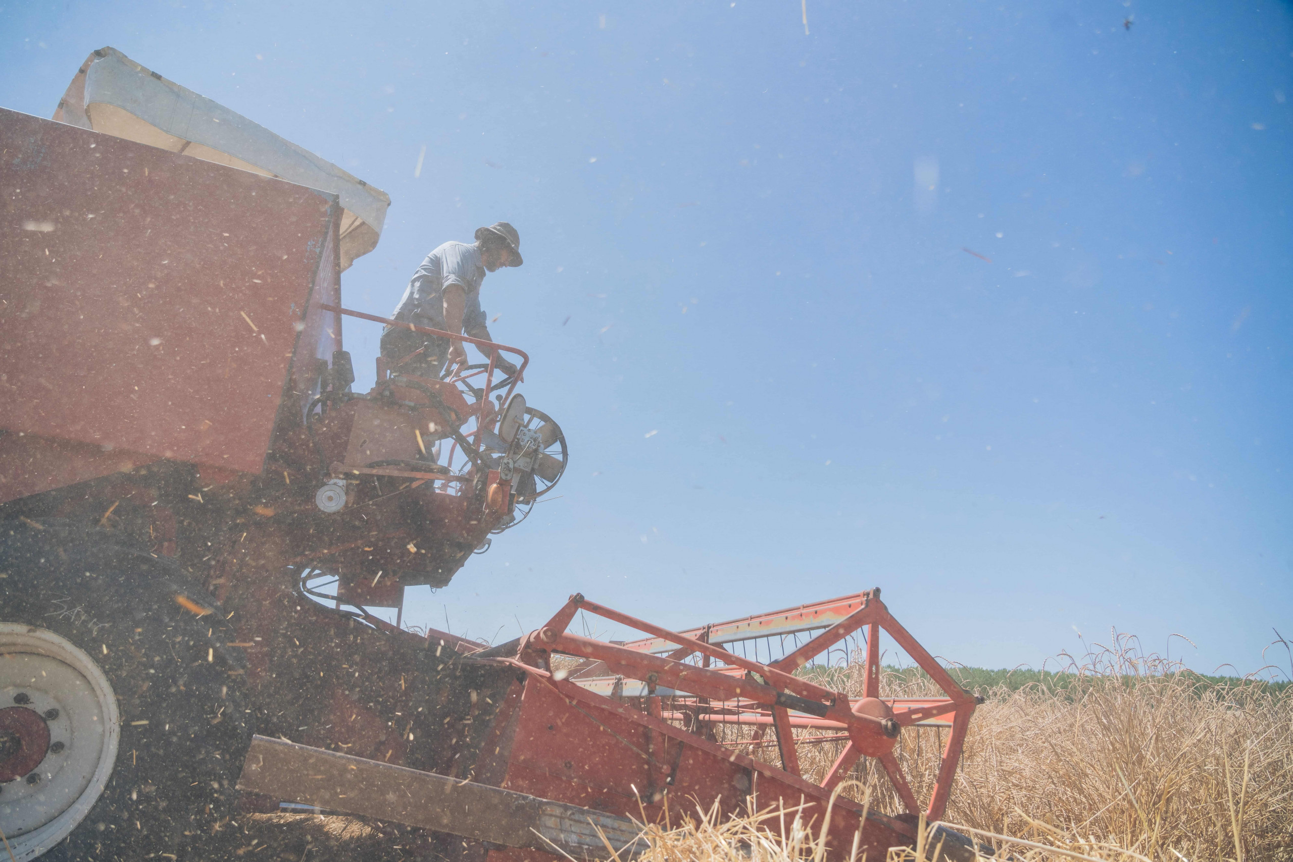 A Correggio gli “Agricoltori Custodi” fanno rivivere i semi antichi